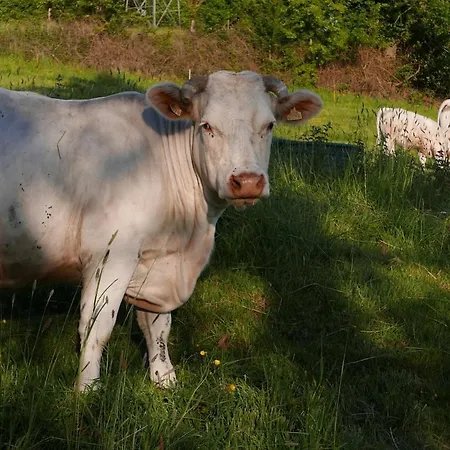 La Petite Haie * Bonneville-la-Louvet
