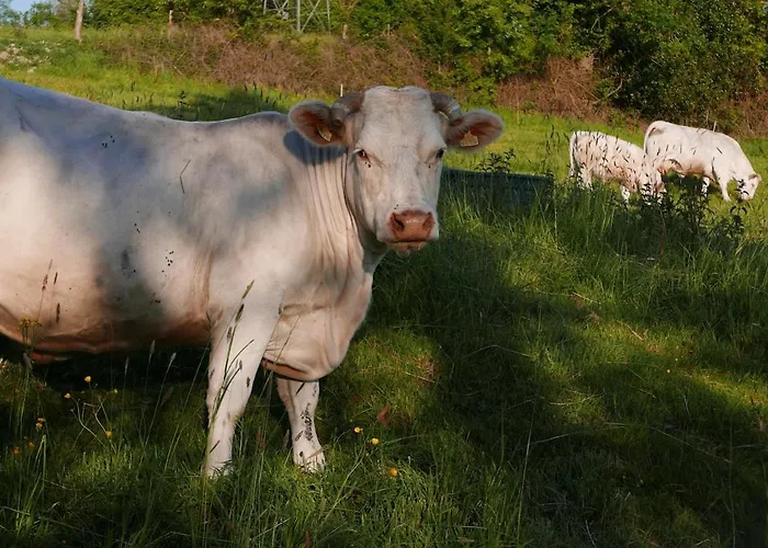 La Petite Haie * Bonneville-la-Louvet